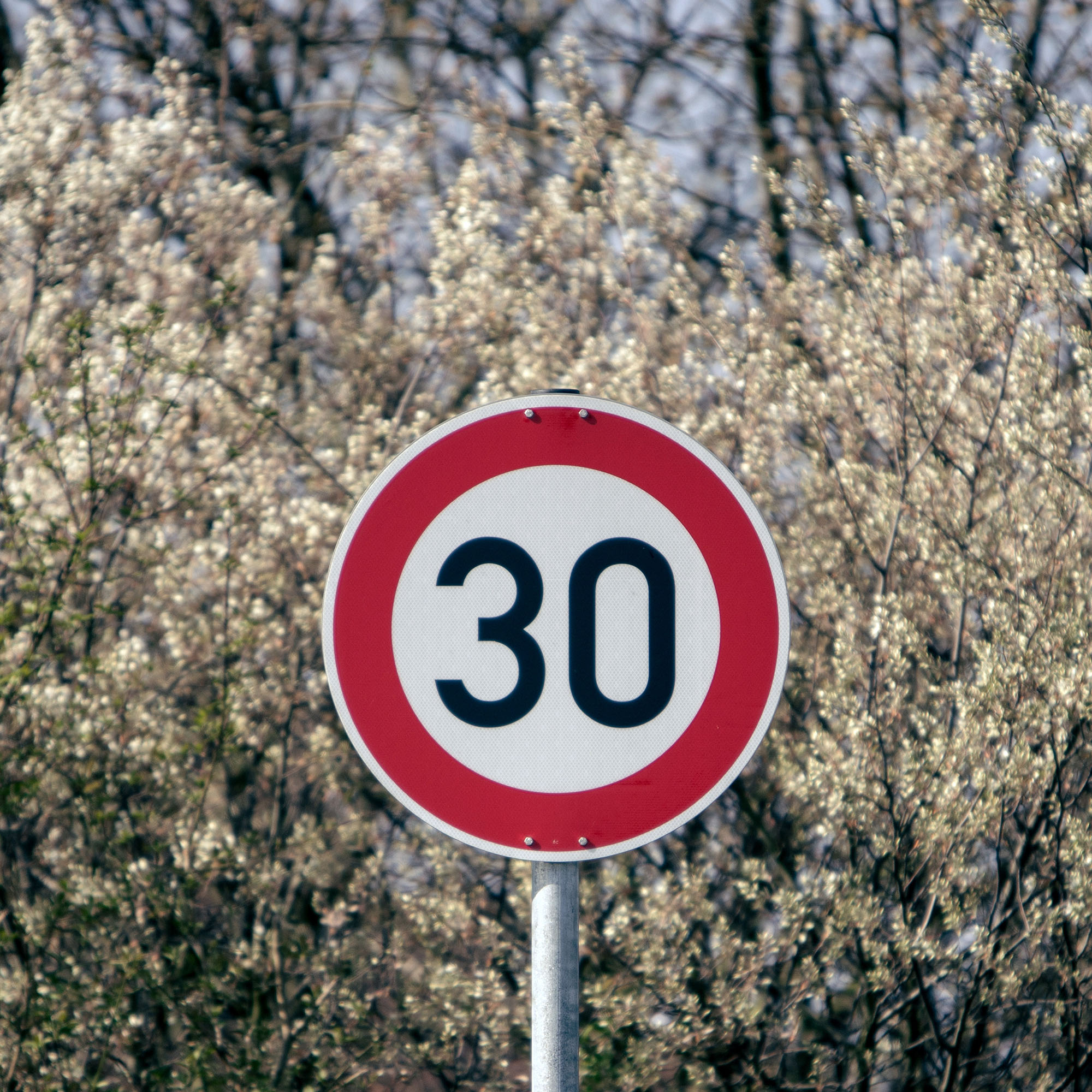 Die Entdeckung der Langsamkeit